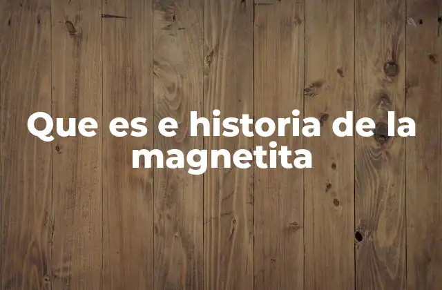 Que es e Historia de la Magnetita