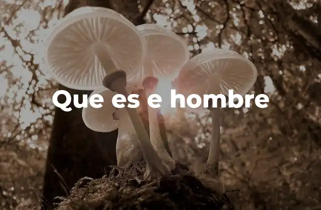Que es e Hombre