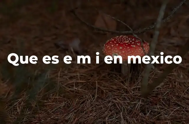 Que es e M I en Mexico