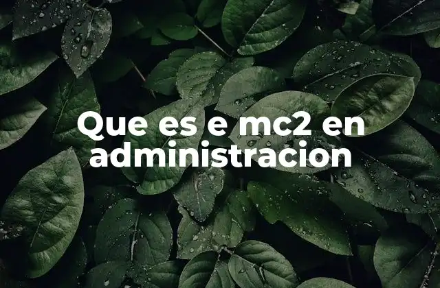 Que es e Mc2 en Administracion