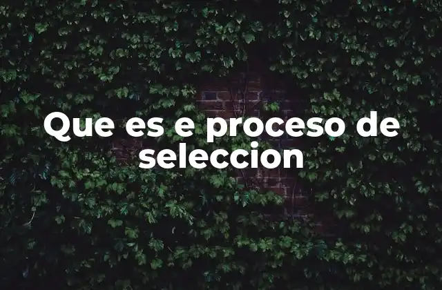La importancia de un buen proceso de selección