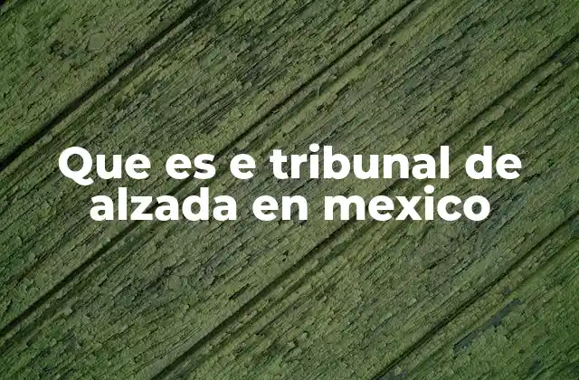 Que es e Tribunal de Alzada en Mexico