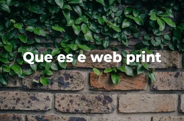 Que es e Web Print