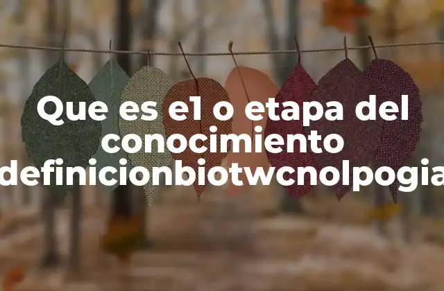 Que es E1 o Etapa Del Conocimiento Definicionbiotwcnolpogia