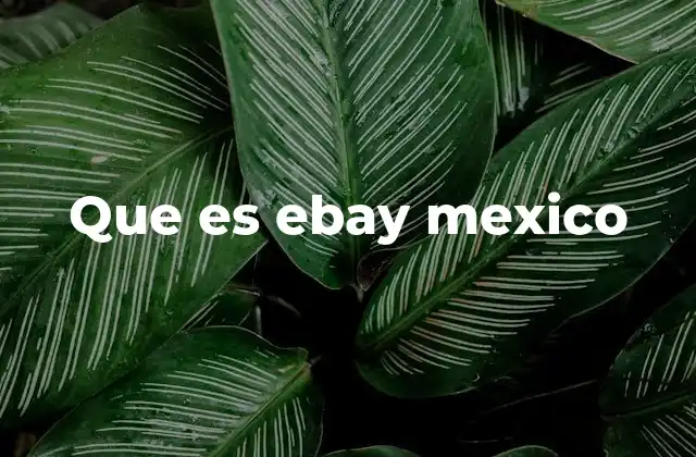 Que es Ebay Mexico