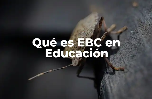 Qué es Ebc en Educación