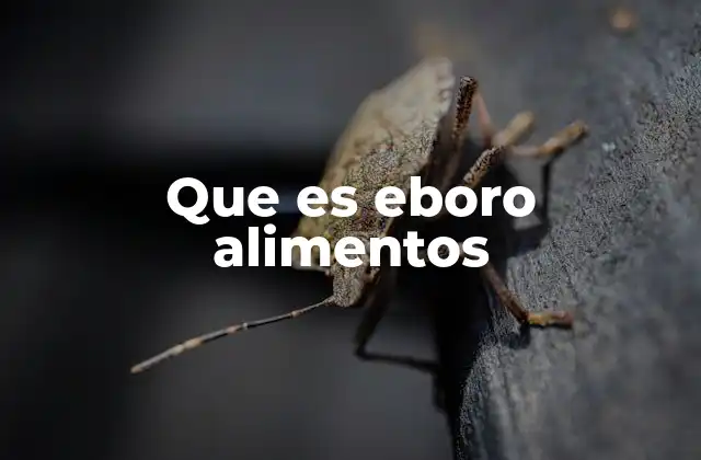 Que es Eboro Alimentos