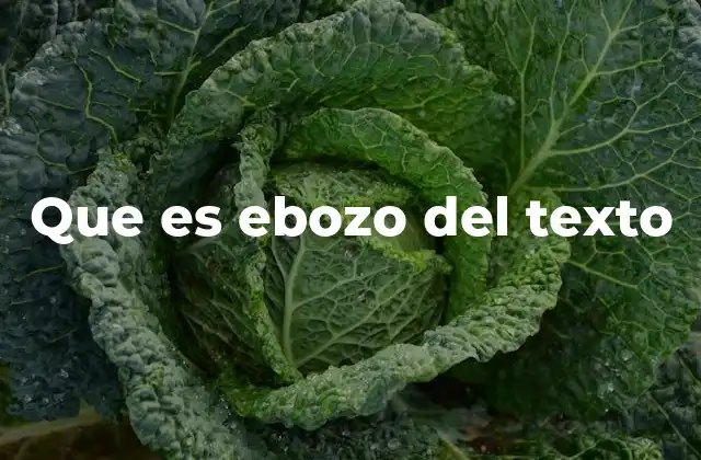 Que es Ebozo Del Texto
