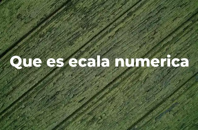 Que es Ecala Numerica