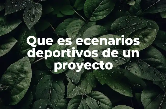 Que es Ecenarios Deportivos de un Proyecto 2 La importancia de los escenarios en el desarrollo de proyectos deportivos