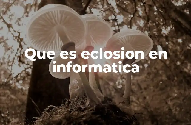 Que es Eclosion en Informatica