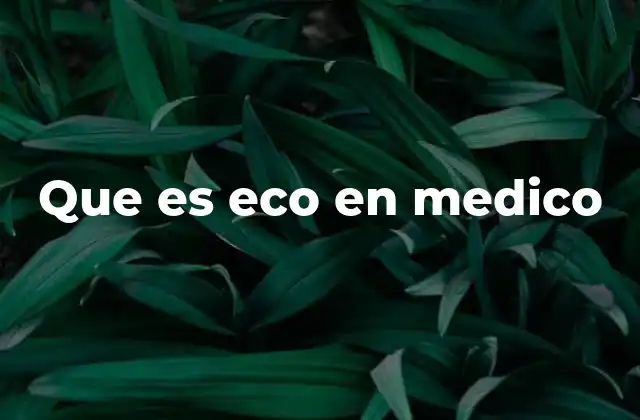 Que es Eco en Medico