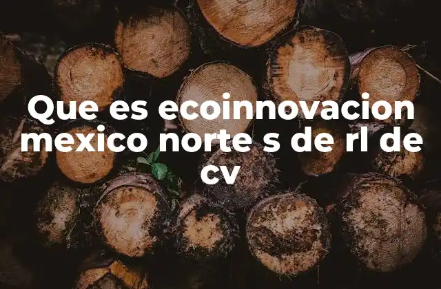 Que es Ecoinnovacion Mexico Norte S de Rl de Cv