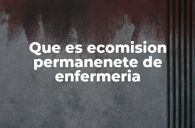 Que es Ecomision Permanenete de Enfermeria