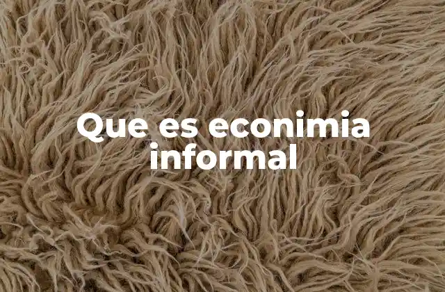 Que es Econimia Informal