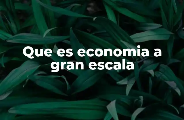 Que es Economia a Gran Escala