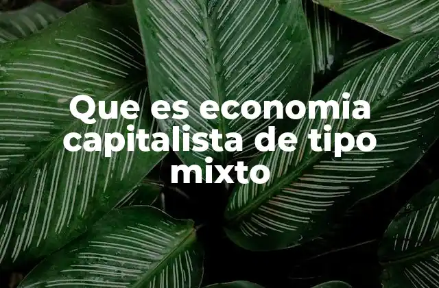 Que es Economia Capitalista de Tipo Mixto