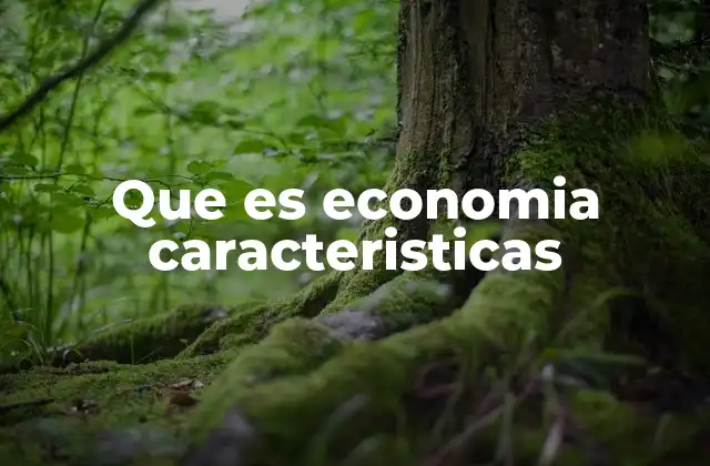 Que es Economia Caracteristicas