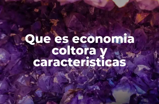 Características fundamentales de la economía colaborativa