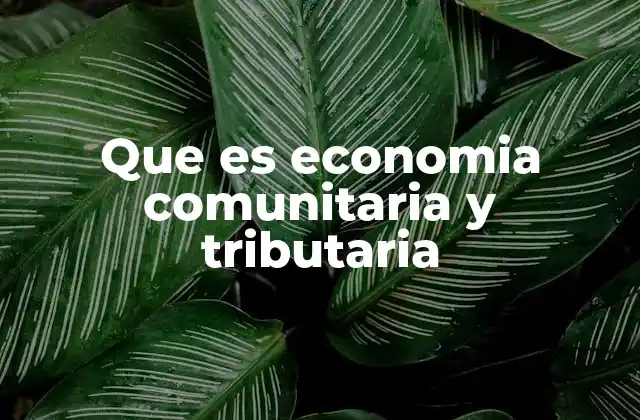 La relación entre economía local y sistema fiscal