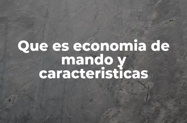 Que es Economia de Mando y Caracteristicas