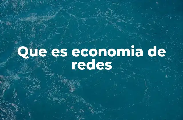 Que es Economia de Redes