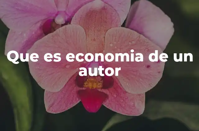 Que es Economia de un Autor