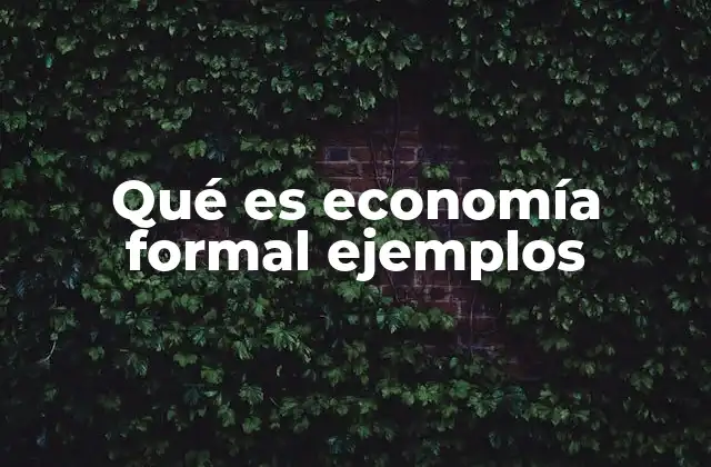 Qué es Economía Formal Ejemplos