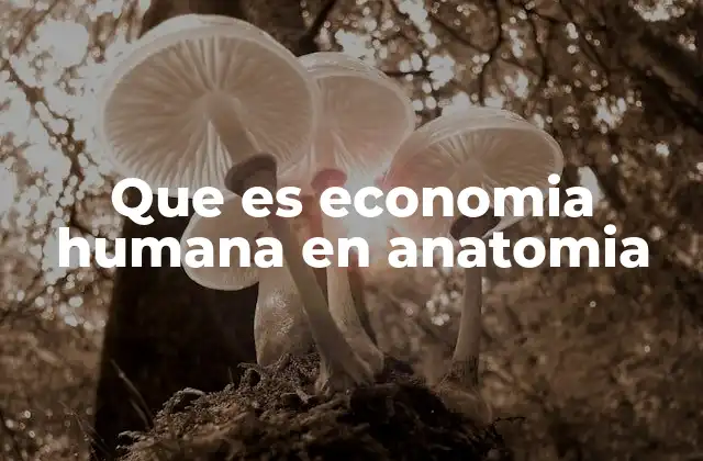 Que es Economia Humana en Anatomia 2 El cuerpo humano como un sistema optimizado