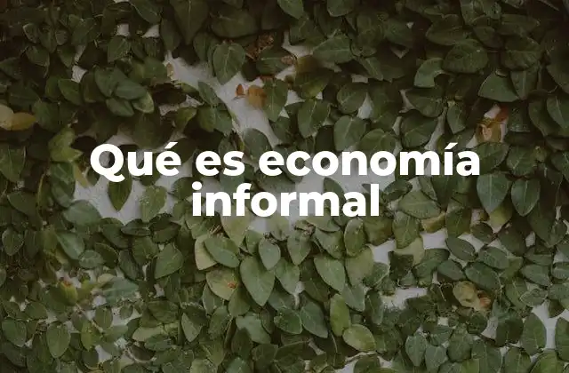 Qué es Economía Informal