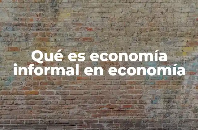 Qué es Economía Informal en Economía