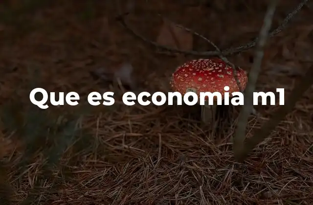 Que es Economia M1