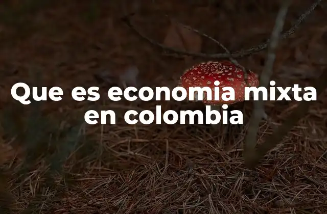 Que es Economia Mixta en Colombia