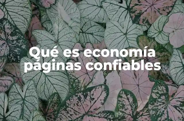 Qué es Economía Páginas Confiables