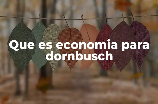 Que es Economia para Dornbusch