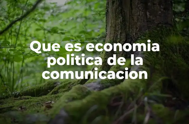 Que es Economia Politica de la Comunicacion 2 Cómo la economía política afecta la producción de medios