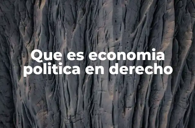 Que es Economia Politica en Derecho