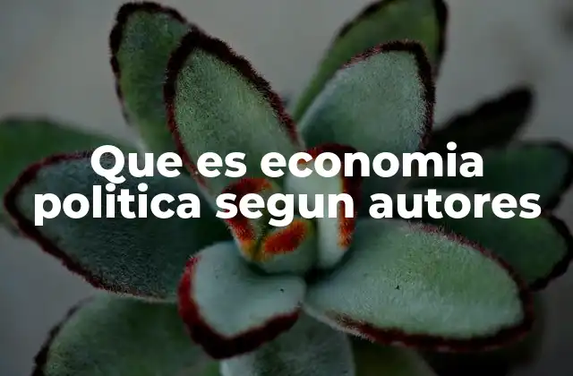 Que es Economia Politica Segun Autores