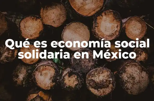 Qué es Economía Social Solidaria en México