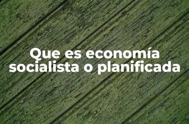 Cómo funciona el modelo económico centralizado