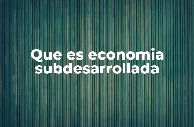 Características de los sistemas económicos subdesarrollados
