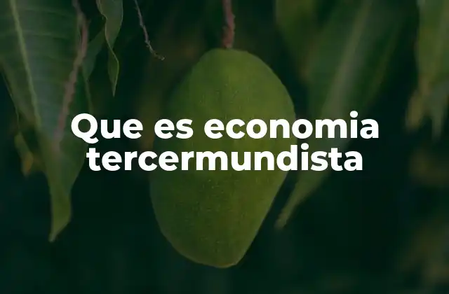 Que es Economia Tercermundista