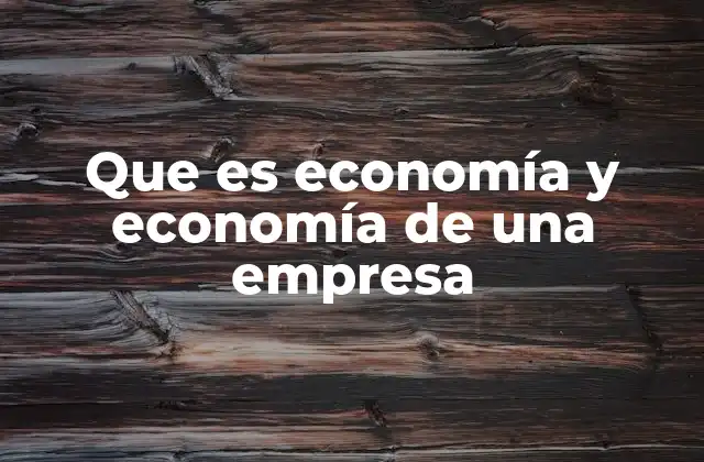 Que es Economía y Economía de una Empresa