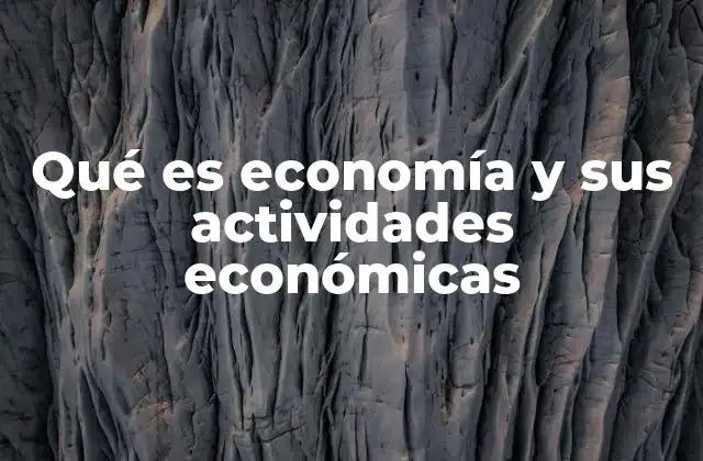 El papel de las actividades económicas en el desarrollo de una nación