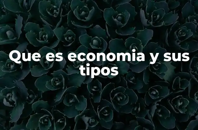 Que es Economia y Sus Tipos
