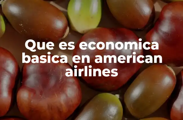 Que es Economica Basica en American Airlines