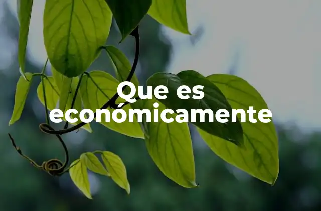 Que es Económicamente