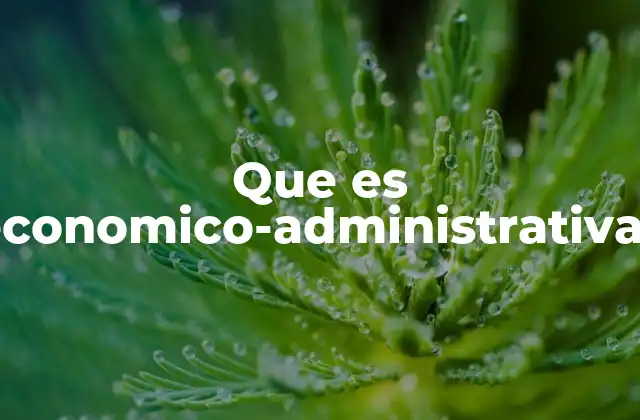 Que es Economico-administrativas 2 La intersección entre economía y administración