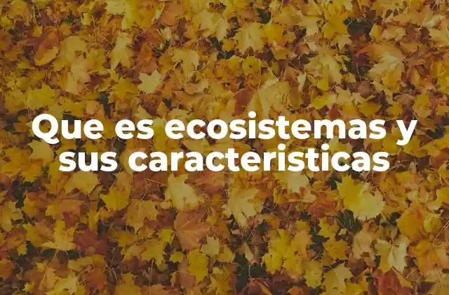 Que es Ecosistemas y Sus Caracteristicas