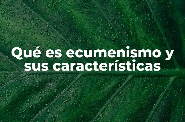 Qué es Ecumenismo y Sus Características 2 La búsqueda de la unidad en el cristianismo